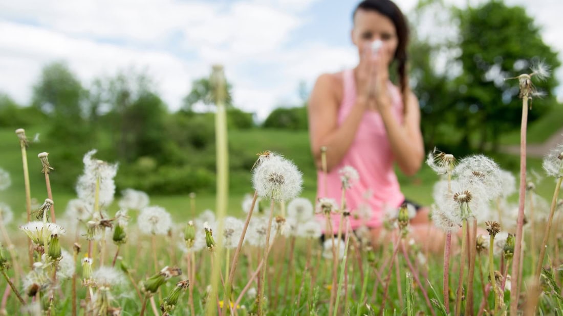 Healthy woman in a field of dandelions, hay fever symptoms and allergy.